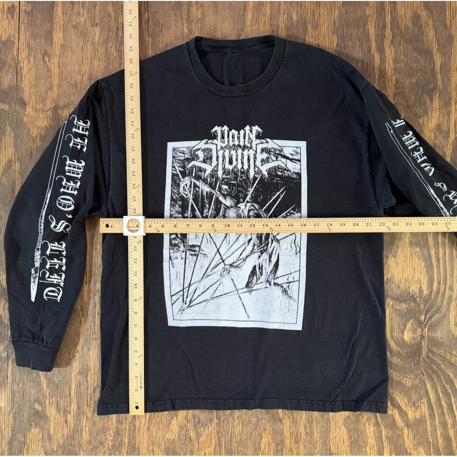 Pain Divine 4-Sided Long Sleeve Metal Band Shirt 22x29 Black Sleeve Print