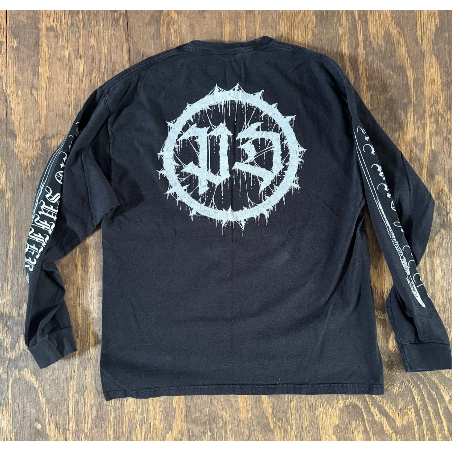 Pain Divine 4-Sided Long Sleeve Metal Band Shirt 22x29 Black Sleeve Print