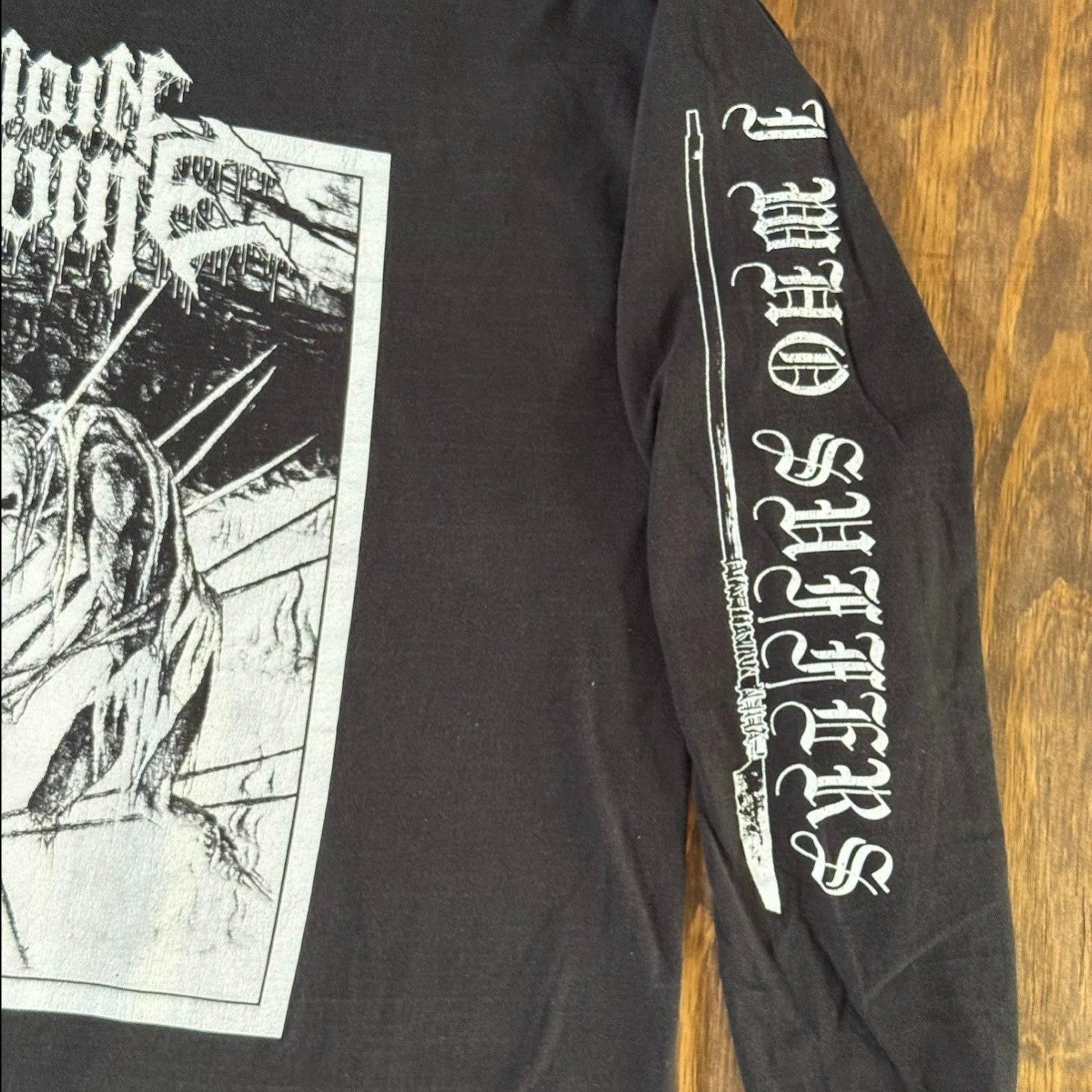 Pain Divine 4-Sided Long Sleeve Metal Band Shirt 22x29 Black Sleeve Print