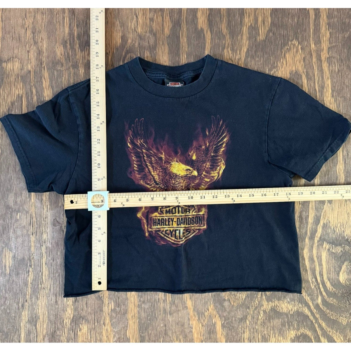 2009 Harley Davidson Lancaster Eagle Flame Crop Top Shirt Women's Boxy Tee