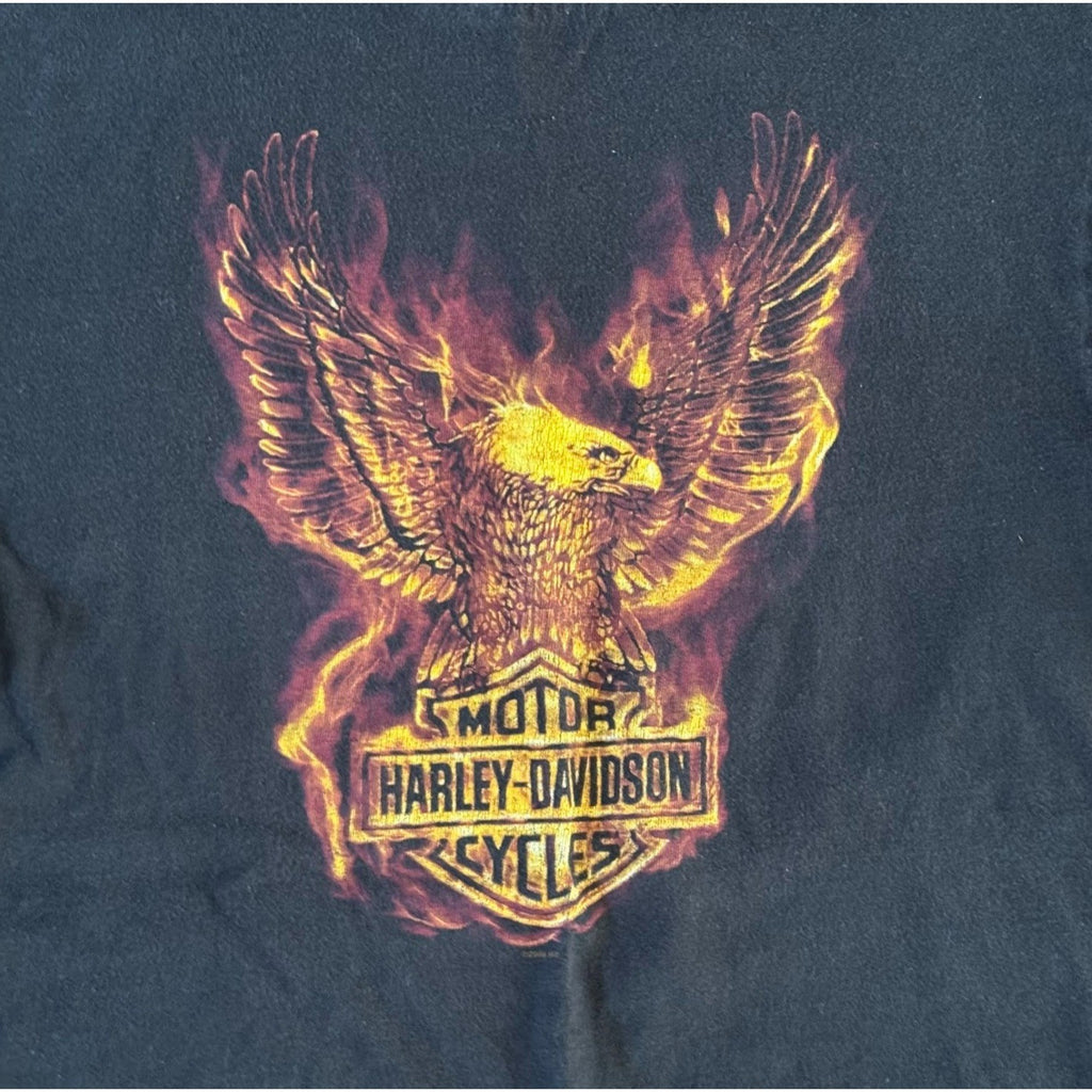 2009 Harley Davidson Lancaster Eagle Flame Crop Top Shirt Women's Boxy Tee