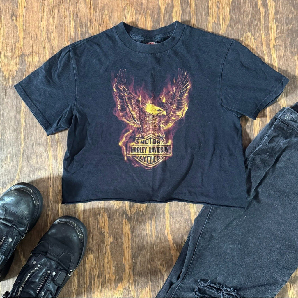 2009 Harley Davidson Lancaster Eagle Flame Crop Top Shirt Women's Boxy Tee